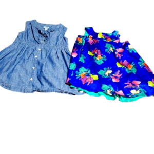 2 girls size 4t dresses